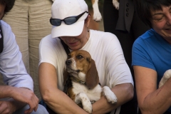 Primo anniversario liberazione dei Beagle di GreenHill - Foto Relogic (C)