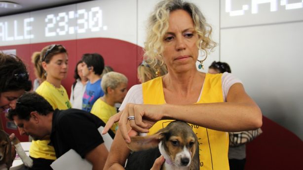 Monica Cirinnà con Libera - beagle di GreenHill